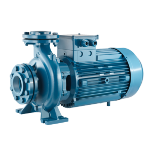 Pompe normalizzate EN 733