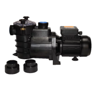 PP-MINI-1.png
